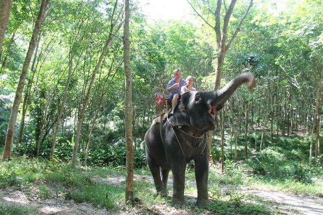 20.04.2015 Khao Lak with elephants