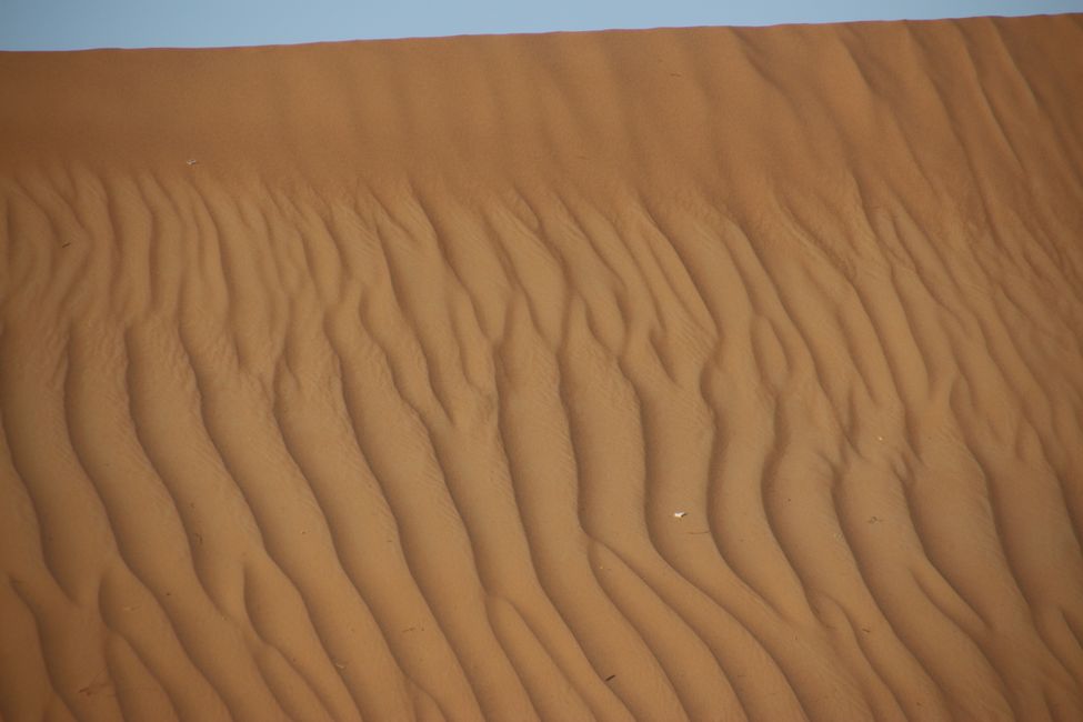 Day 12 (2015) Abu Dhabi - Desert - Hatta - Dubai