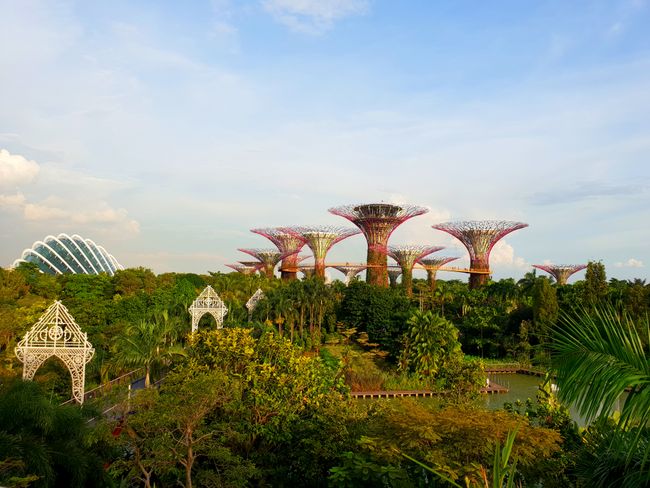 Visite de Singapour