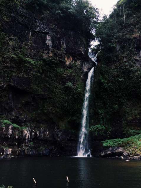 Nandroya Falls, Henrietta Creek, Wooroonooran Nationalpark 