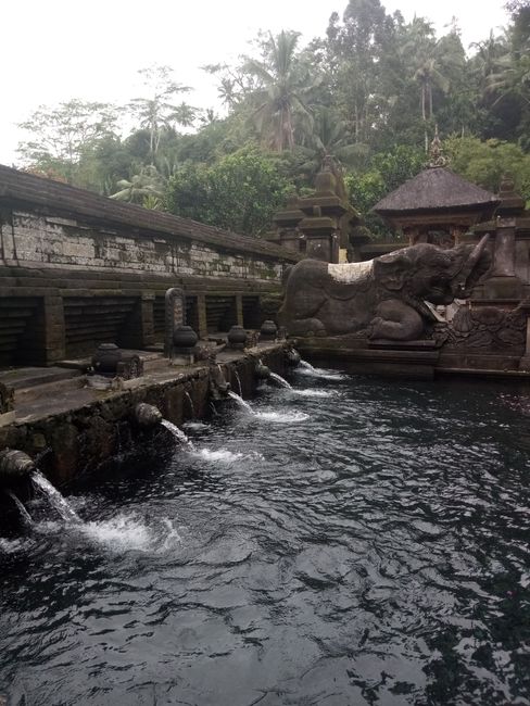 Holy springs of Tirta Empul without...