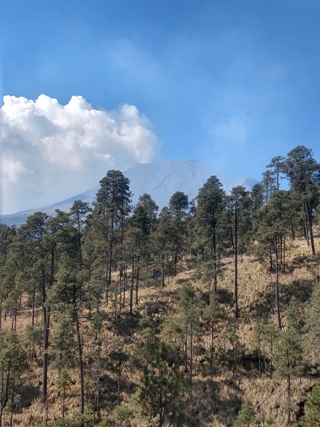 Day trip from Puebla to Iztapopo National Park