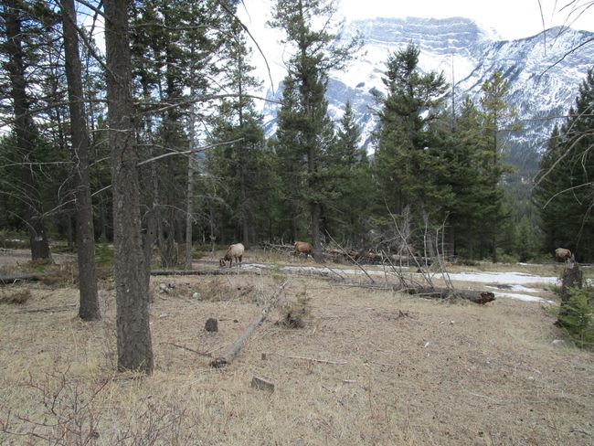 Visite du camp, partie 12 : Banff