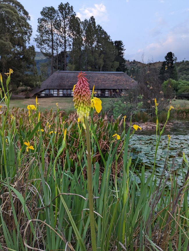 Gut in Johannesburg angekommen und direkt weiter zu den Drakensberg