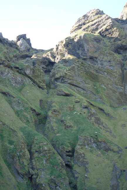 An impressive lava cliffed coast