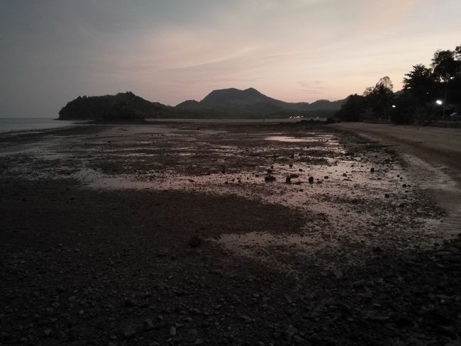 The coast at low tide and twilight.