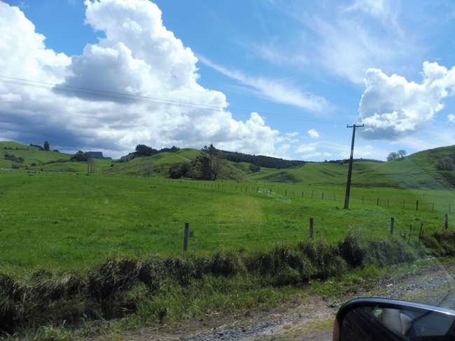The typical landscape in 'Northland'