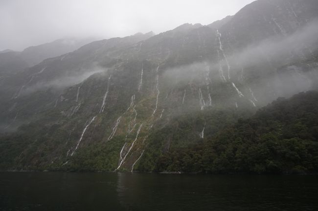 The Sounds in Fiordland