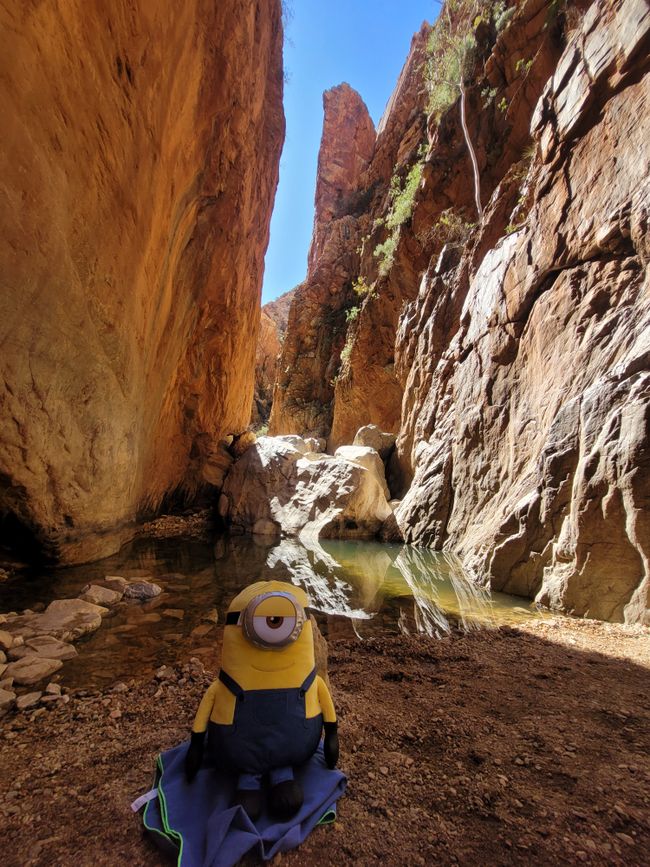 Stuart at Standley Chasm