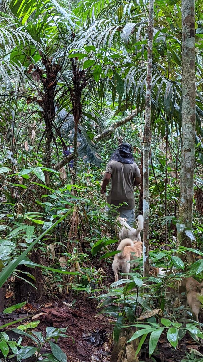 2. Día en la selva amazónica