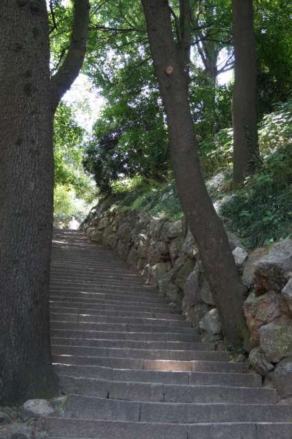 Jade Emperor Hill