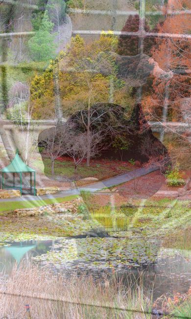 02/08/2016 Mount Lofty Botanic Garden
