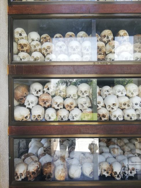 Skeletons found while excavating the Killing Fields.