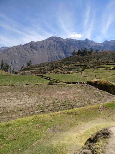 Colca Canyon 4 - Reached the Top
