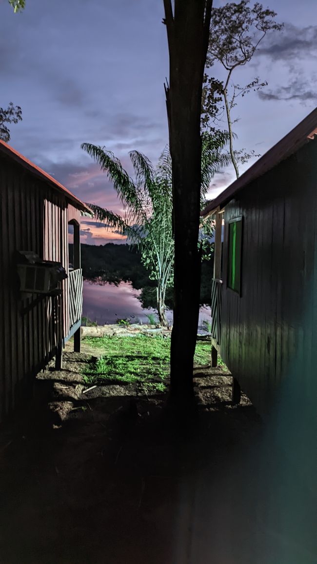 2. Día en la selva amazónica