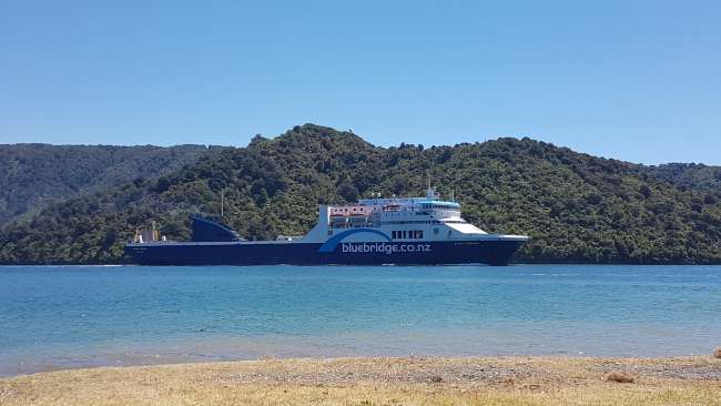 OUR FERRY FROM PICTON 