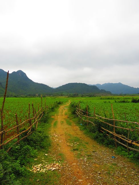 Phong Nha or the lonely weekend
