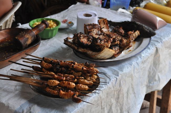 Diese Maden kommen uns bekannt vor, in Baños gab es sie in lebendiger Form