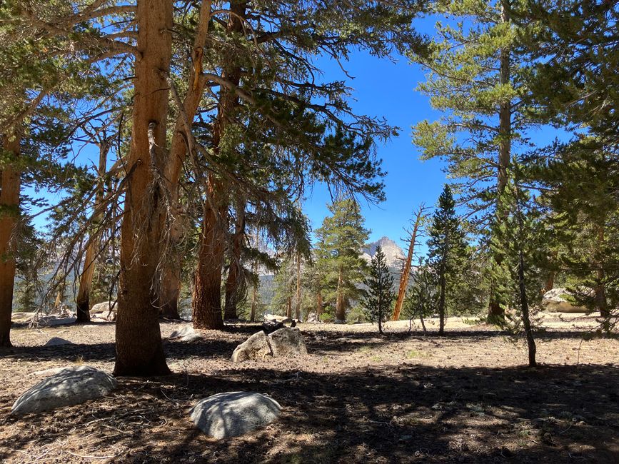 High Sierra Trail Day 3