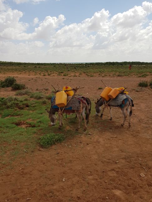 Two months in Somaliland