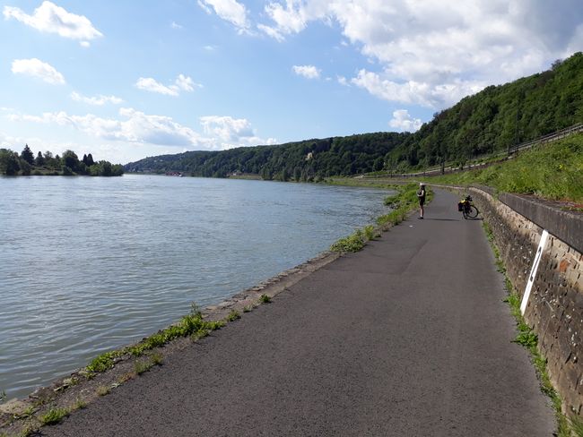 Why is it so beautiful on the Rhine?