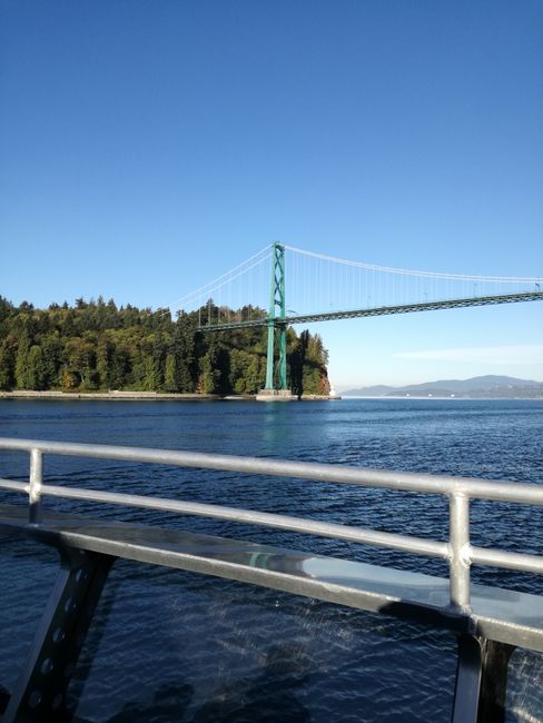Vancouver (3/3), Whale Watching & Victoria/ Vancouver Island