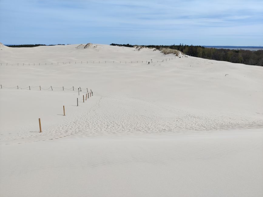 Wandering Dune 