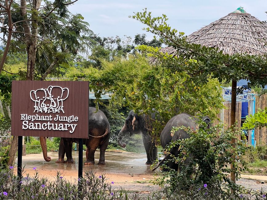 Das Elephant Jungle Sanctuary in Phuket
