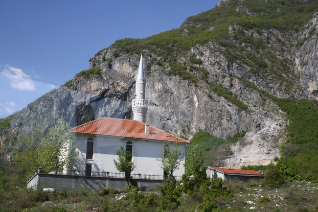 Ligaw na Albania