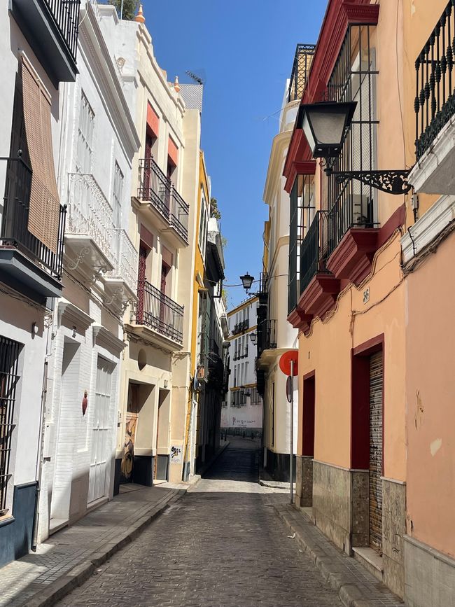 Sevilla, Etiketa 37