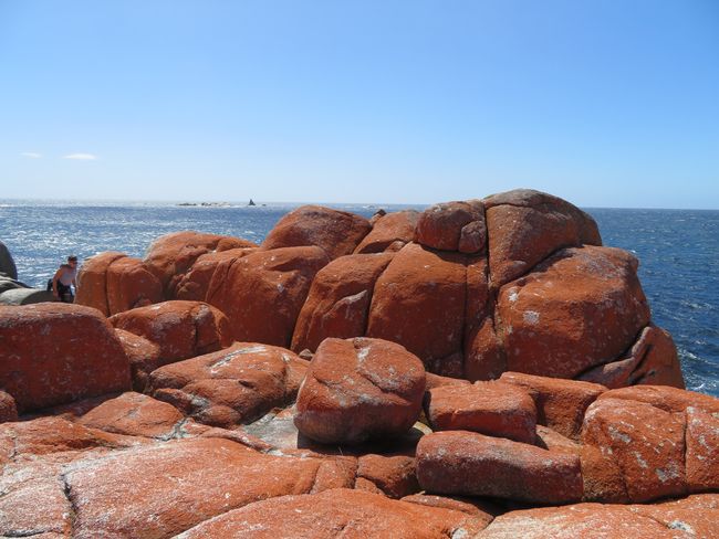 The fiery red rocks for which the bay is known