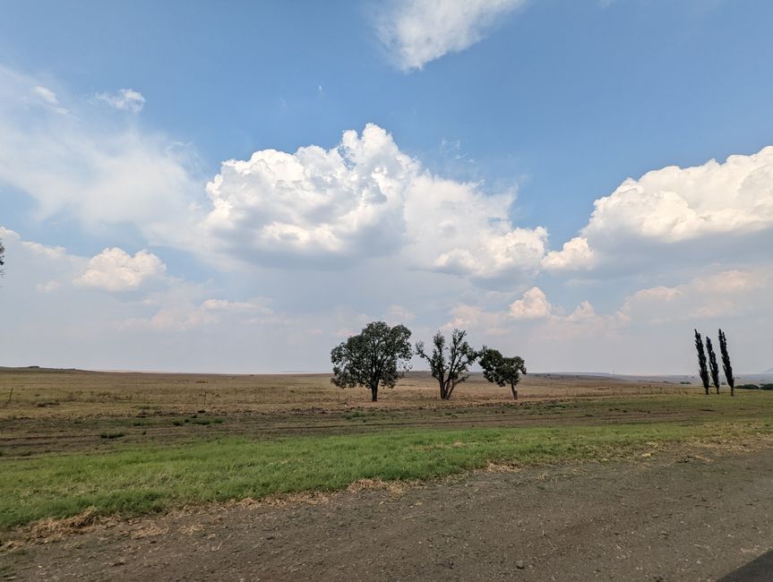 Gut in Johannesburg angekommen und direkt weiter zu den Drakensberg