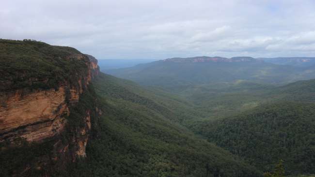Sydney in the rain + Blue Mountains