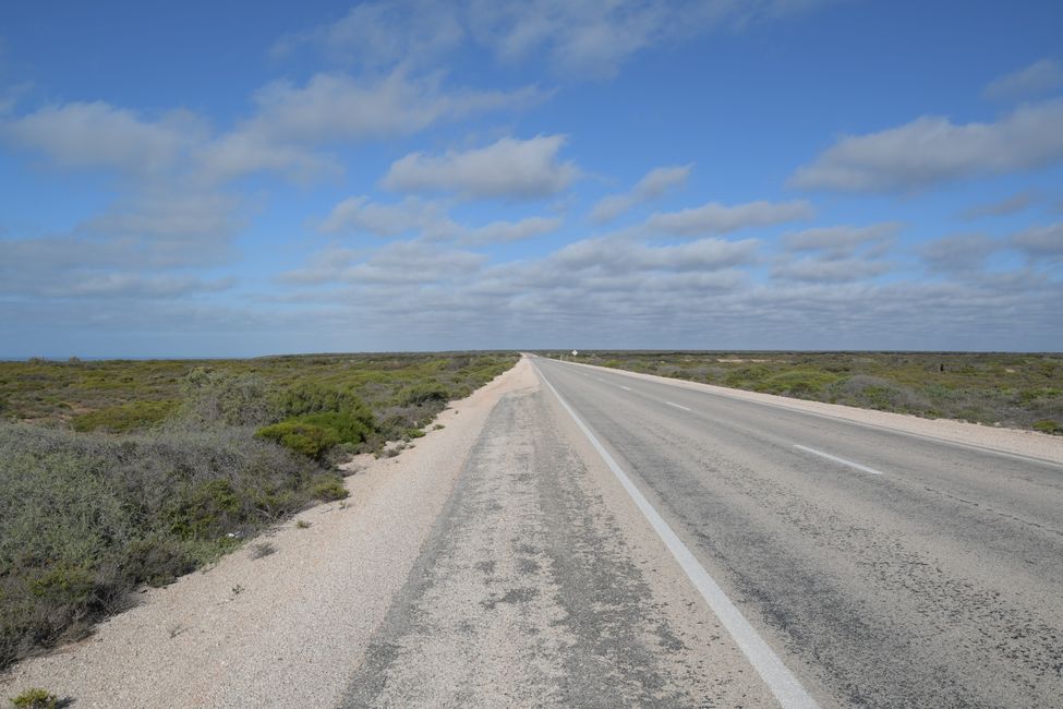 At the Nullarbor