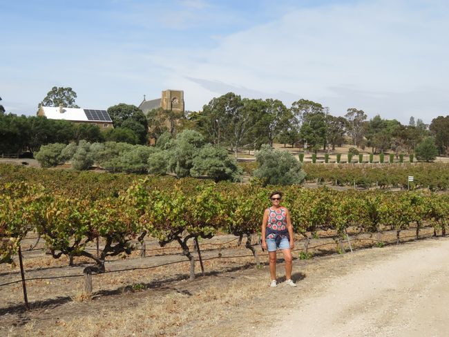 In Clare Valley