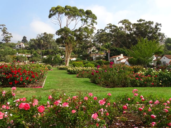 Rose garden + very nice residential area