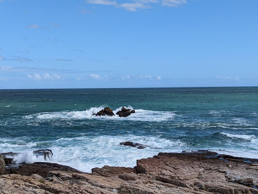 Hermanus / Cliff Path und die eigentliche "Walhauptstadt" Gansbaai