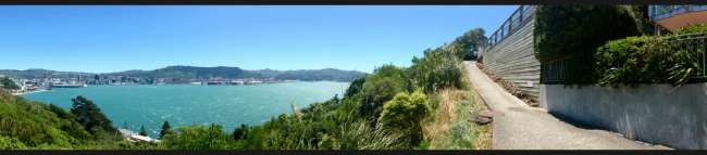 Blick auf Wellington vom Mount Victoria Lookout