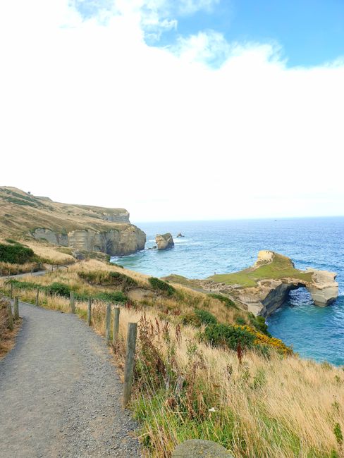 Passage to the beach at Tunnel Beach