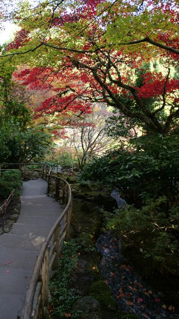 Vancouver Island - The Butchart Gardens - Japanese Garden
