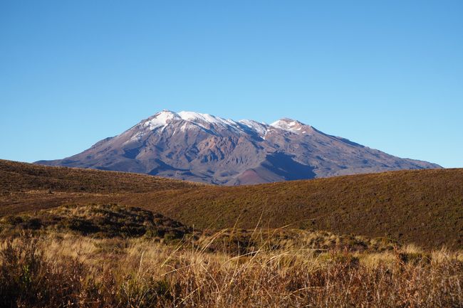 Start Tongariro Crossing, Blick auf Mount Ruapehu