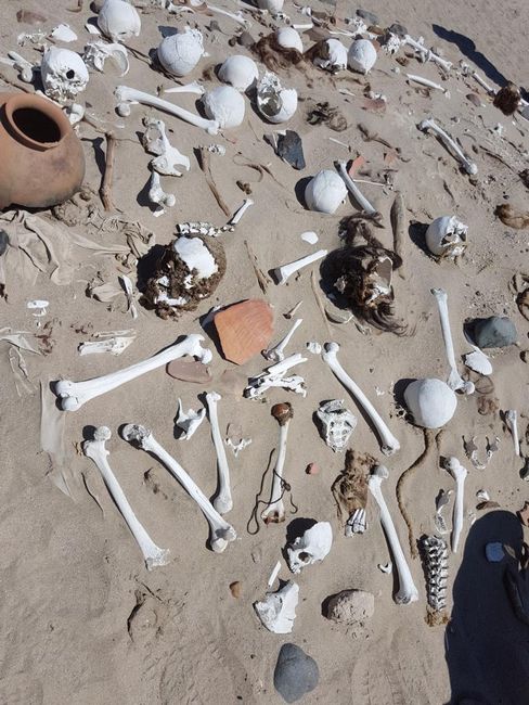 Nasca Cemetery in the Desert