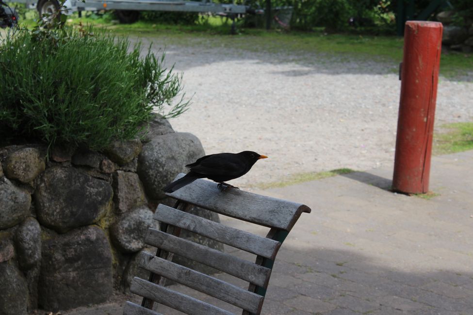 05.06.2022 Sonntag (2. Tag)