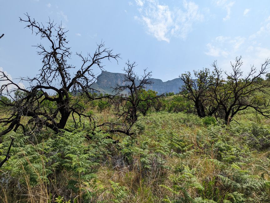Royal Natal Drakensberg Park