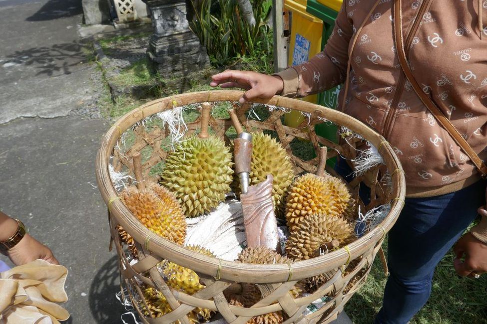 Durian - Stinkfrucht. Wir durften keine mitnehmen...