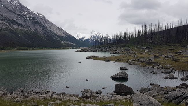 Medicine Lake (im Jasper Nationalpark)