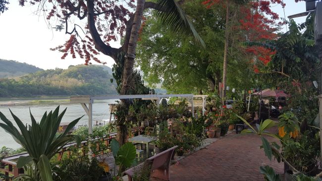 ...es gab unzählige kleine Restaurants und Cafes entlang des Mekong...