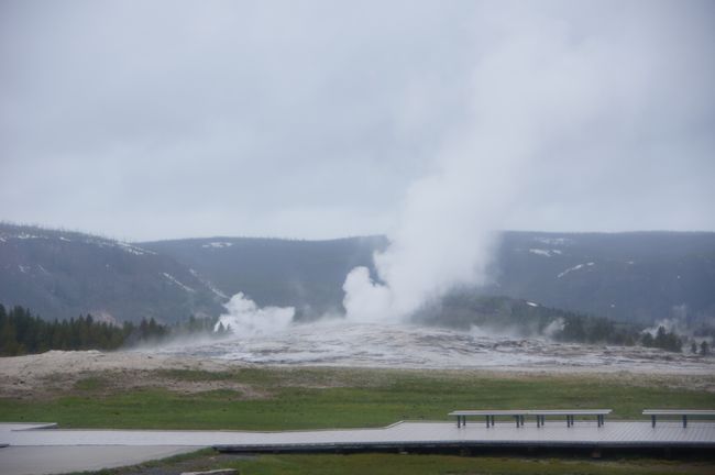 A day in Yellowstone National Park