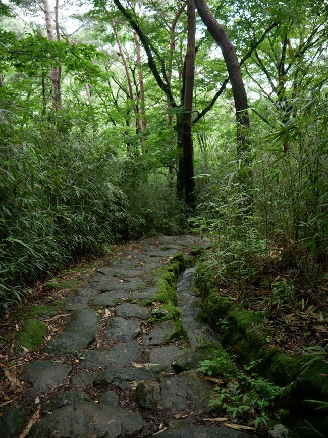 Regen im Jirisan-Nationalpark