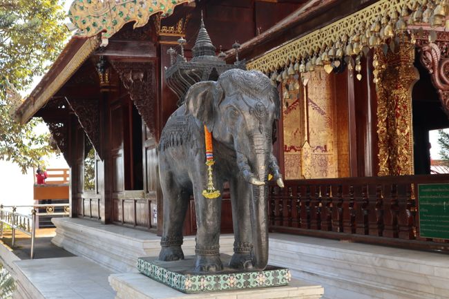 Ein Elefant am Wat Phra That Doi Suthep.